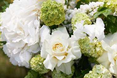 Beyaz bir gülün yapraklarındaki çiğ tanesi. Yazlık evde taze çiçekler.