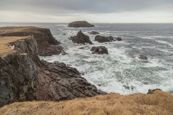 Zuhatag és Cliffside Newfoundland — Stock Fotó