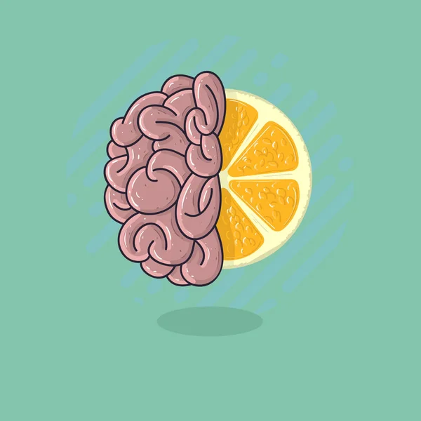 Lidský mozek v kombinaci s citrusových plodů. Aktualizujte své Creativit — Stockový vektor