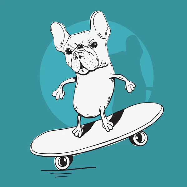 Fransk Bulldog gör en balans med en Skateboard tecknad skissartad Illustration. — Stock vektor