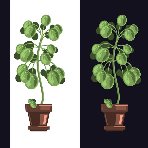 Конструкция векторной иллюстрации плоского полотна для домашних растений . — стоковый вектор