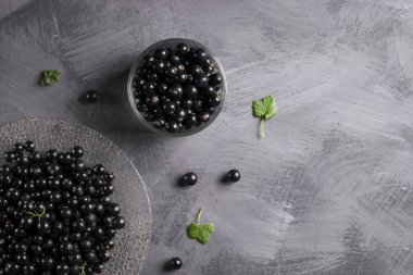 Yaprak sapı ile gri tabloda Siyah frenk üzümü