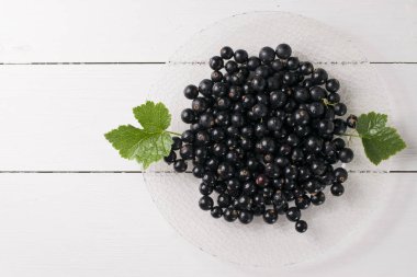 Yaprak sapı ile beyaz tabloda Siyah frenk üzümü