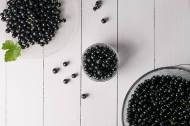 Yaprak sapı ile beyaz tabloda Siyah frenk üzümü