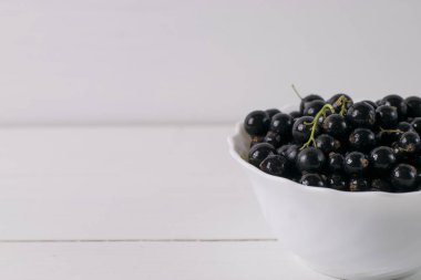 Yaprak sapı ile beyaz tabloda Siyah frenk üzümü