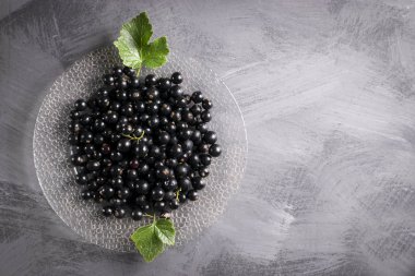 Yaprak sapı ile gri tabloda Siyah frenk üzümü