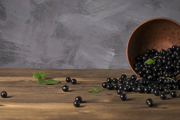 Black Currant Wooden Table Leaf Sprig — Stock Photo, Image