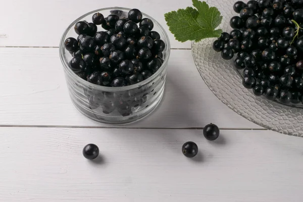 Yaprak sapı ile beyaz tabloda Siyah frenk üzümü