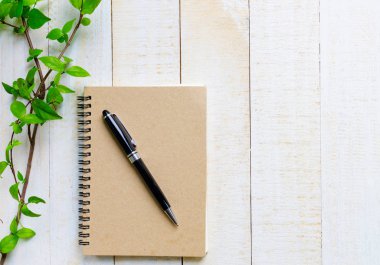 siyah kalem masada yeşil kahverengi kitap yeri reaves