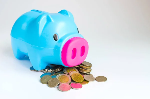 domuz bang ve sikke beyaz arka plan üzerinde