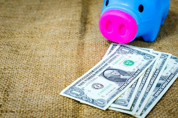 dolar banknot ve kumbara kenevir arka plan üzerinde kapatın