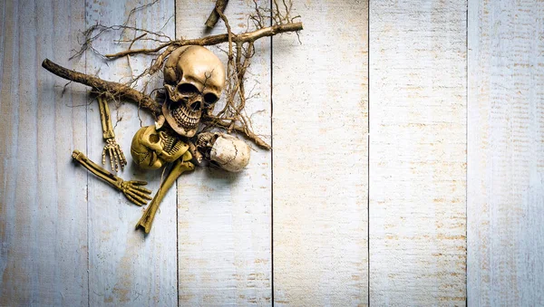 Skull and root on white wooden background, Life and death concep — Stock Photo, Image