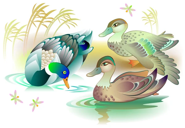 Illustration der schönen Entenfamilie beim Schwimmen in einem Teich. — Stockvektor