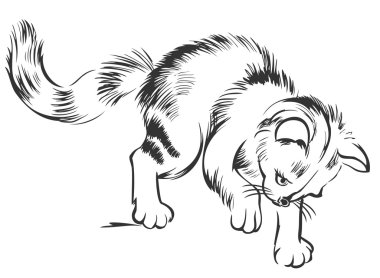 Küçük bir kedi yavrusu siyah ve beyaz kroki.