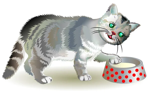 好奇的灰色小猫寻找食物在一个碗里的插图. — 图库矢量图片