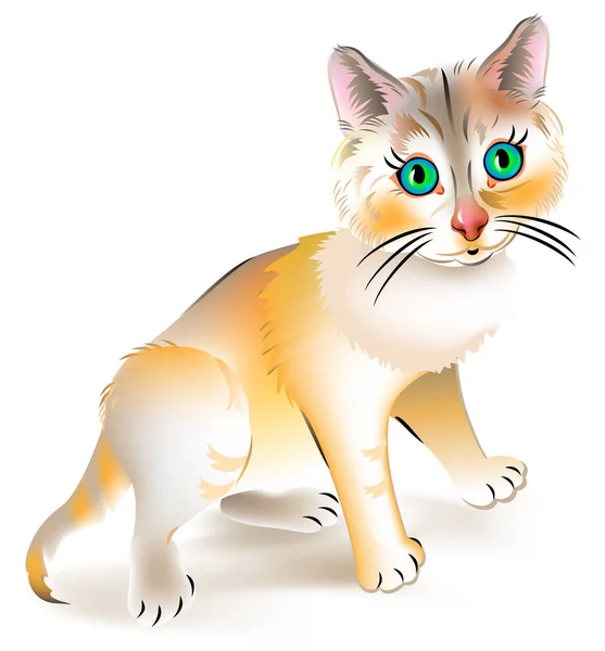 Illustration of little red frightened kitten on white background. — Stock Vector