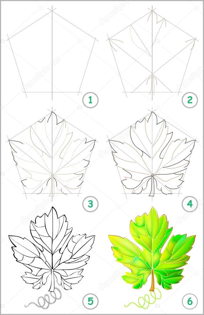 Page shows how to learn step by step to draw a grape leaf.