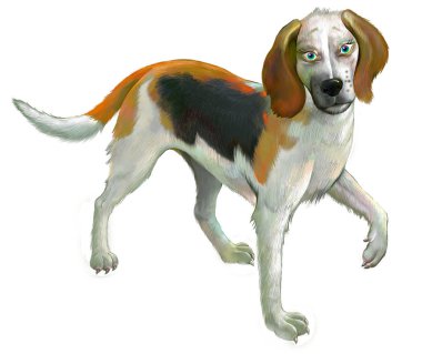 Beyaz arka plan üzerinde şirin duran Amerikalı Foxhound çizimi.