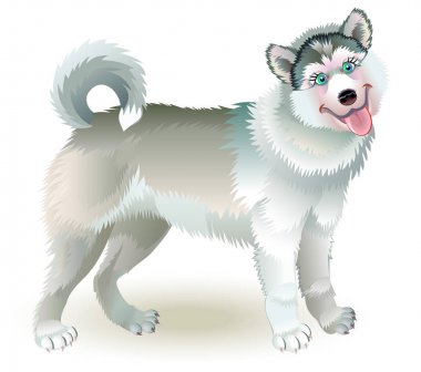 Şirin ayakta husky köpek resmi.