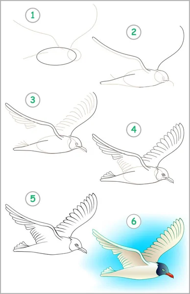 Zeigt, wie man Schritt für Schritt lernt, eine fliegende Möwe zu zeichnen. Entwicklung der Fähigkeiten der Kinder zum Zeichnen und Ausmalen. — Stockvektor