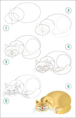 Sayfa nasıl adım adım bir uyuyan kedi çizmek öğrenmek için gösterir. Çizim ve boyama için çocuklar becerilerini geliştirmek. Vektör görüntü.