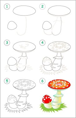 Page shows how to learn step by step to draw a fly amanita. Developing children skills for drawing and coloring. Vector image. clipart