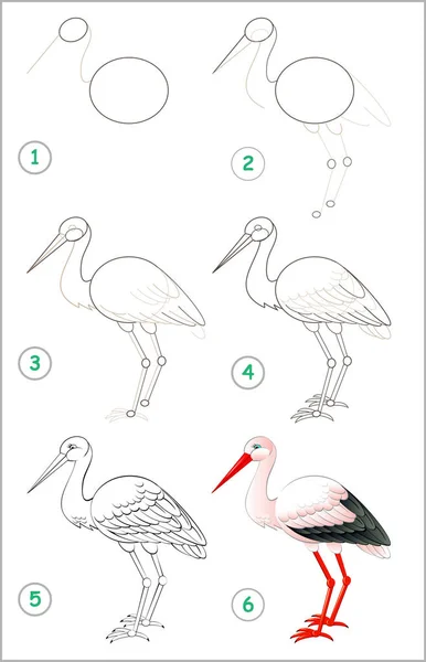 ページは ステップバイ ステップでコウノトリを描画することを学ぶ方法を示します 描画と着色の子供たちの能力を開発します ベクトル画像 — ストックベクタ