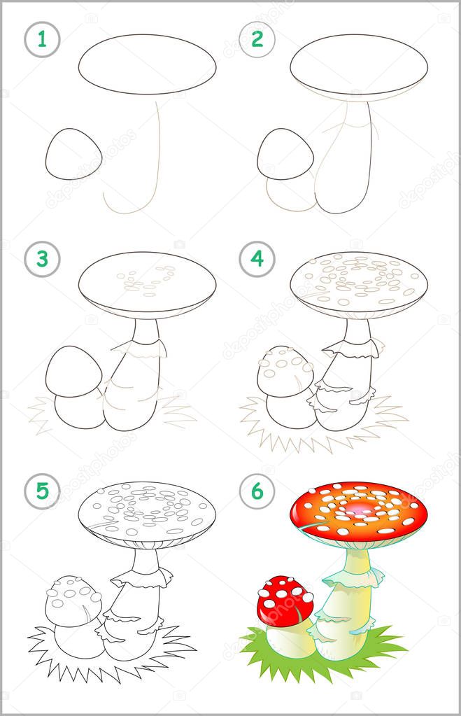 Page shows how to learn step by step to draw a fly amanita. Developing children skills for drawing and coloring. Vector image.