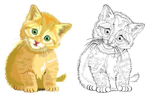 Kolorowe Czarno Biały Wzór Barwienia Ilustracja Cute Kitten Arkusz Dla — Wektor stockowy
