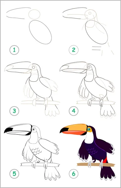 Página Mostra Como Aprender Passo Passo Para Desenhar Tucano Bonito —  Vetores de Stock