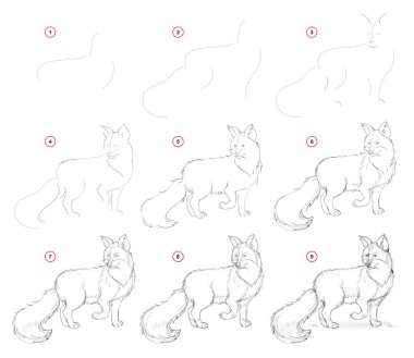 How to draw from nature step by step sketch of cute fox. Creation step-wise pencil drawing. Educational page for artists. School textbook for developing artistic skills. Hand-drawn vector image. clipart