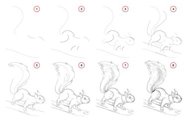 How to draw from nature step by step sketch of cute squirrel. Creation step-wise pencil drawing. Educational page for artists. School textbook for developing artistic skills. Hand-drawn vector image. clipart