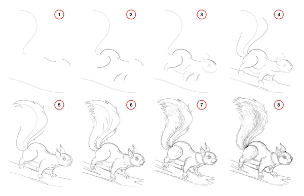 Hoe Tekenen Uit Natuur Stap Voor Stap Schets Van Schattige — Stockvector