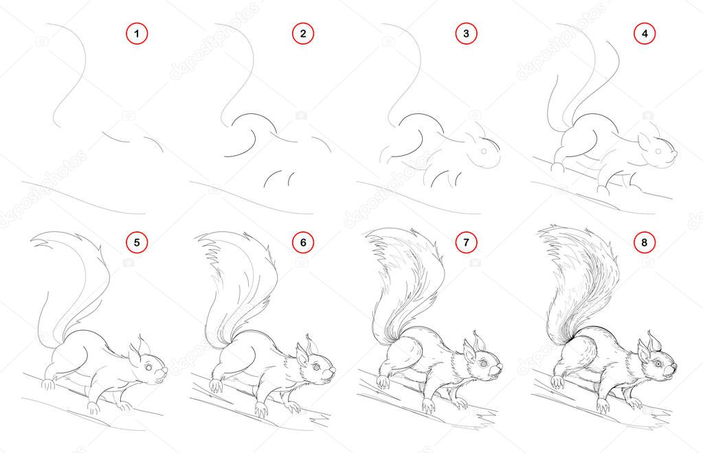 How to draw from nature step by step sketch of cute squirrel. Creation step-wise pencil drawing. Educational page for artists. School textbook for developing artistic skills. Hand-drawn vector image.