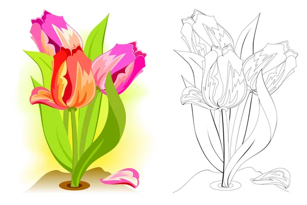 Barevný Černobílý Vzor Pro Barvení Ilustrace Jarních Tulipánů Zahradě Zdravím — Stockový vektor