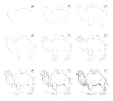 Doğadan adım adım şirin devenin nasıl çizileceğini. Basamaklı kalem çizimi. Sanatçılar için eğitim sayfası. Sanatsal becerileri geliştirmek için bir ders kitabı. El çizimi vektör resmi.