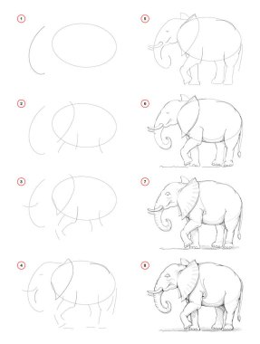 How to draw from nature step by step sketch of African elephant. Creation pencil drawing. Educational page for artists. School textbook for developing artistic skills. Hand-drawn vector image. clipart
