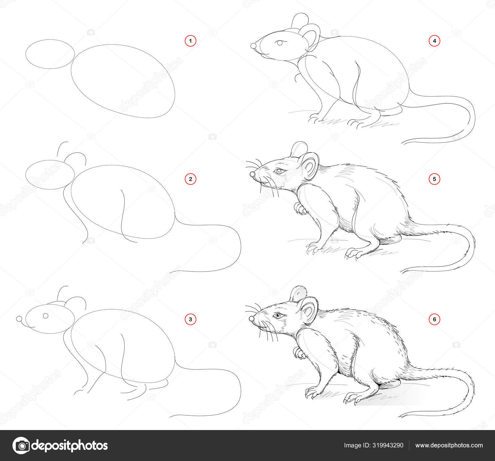 How Nature Cute Rat Creation Step Pencil Stock Vector Image by ©Nataljacernecka #319943290