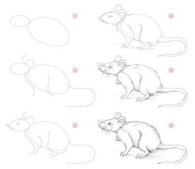How to draw from nature sketch of cute rat. Creation step by step pencil drawing. Educational page for artists. School textbook for developing artistic skills. Hand-drawn vector image. clipart
