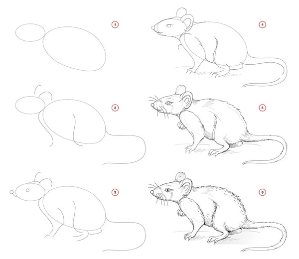 Jak Čerpat Přírodního Náčrtu Roztomilé Krysy Vytvoření Krok Krokem Kreslení — Stockový vektor