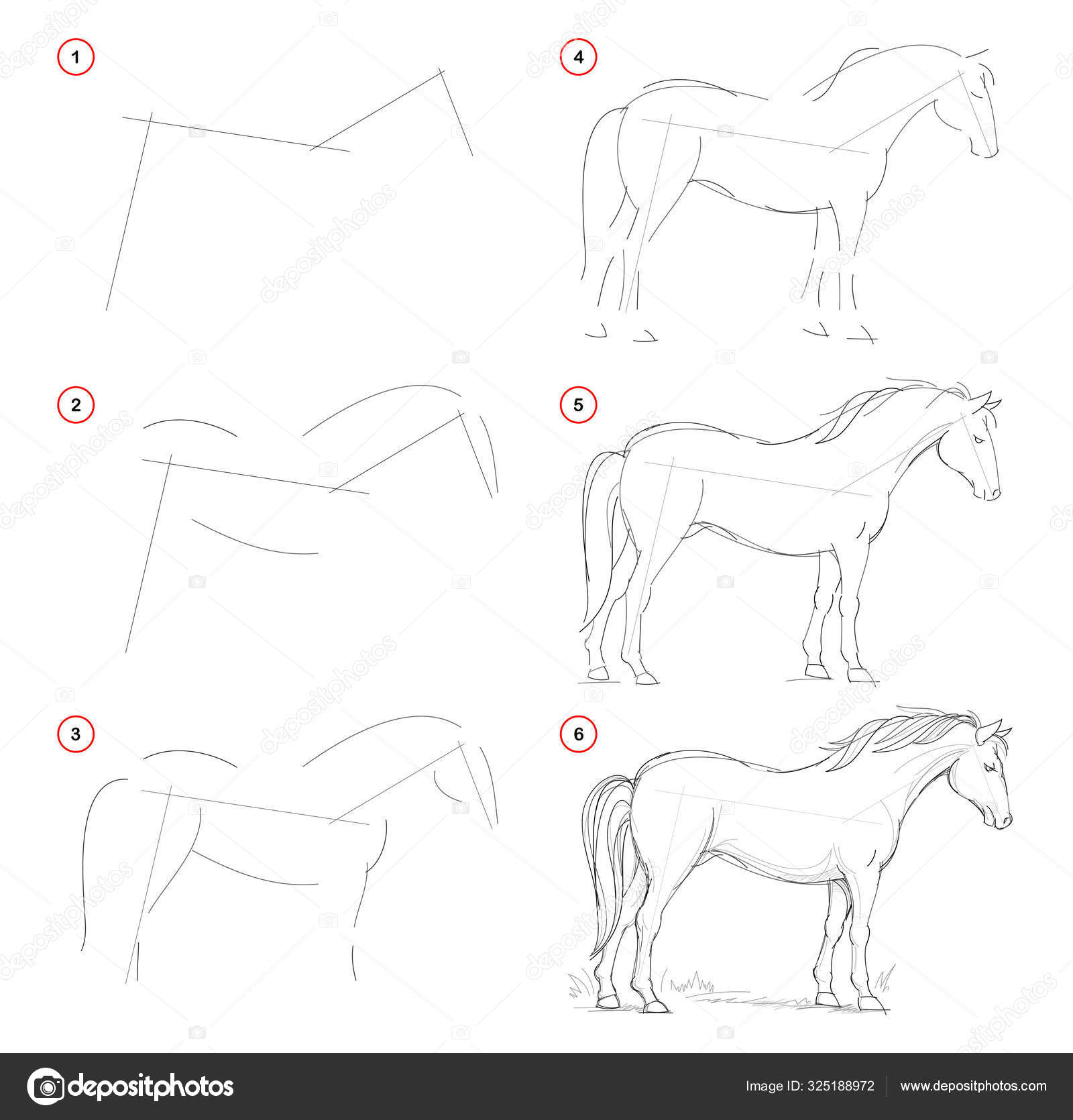 Como Desenhar Esboço Natureza Cavalo Permanente Criação Passo Passo Desenho  imagem vetorial de Nataljacernecka© 325188972