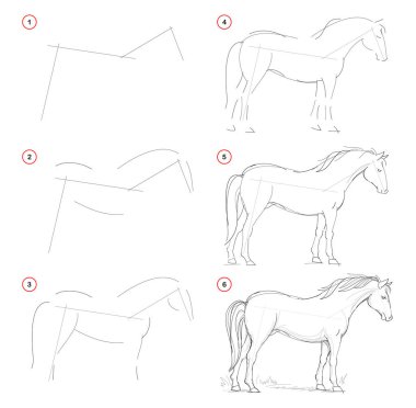 How to draw from nature sketch of standing horse. Creation step by step pencil drawing. Educational page for artists. School textbook for developing artistic skills. Hand-drawn vector image. clipart