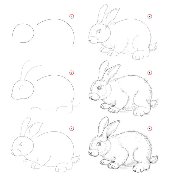 Qualquer pessoa pode desenhar coelhinhos: Tutorial de desenho