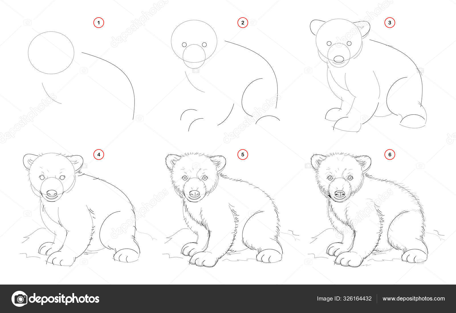 Como desenhar um panda-gigante  Tutorial de desenho passo a passo