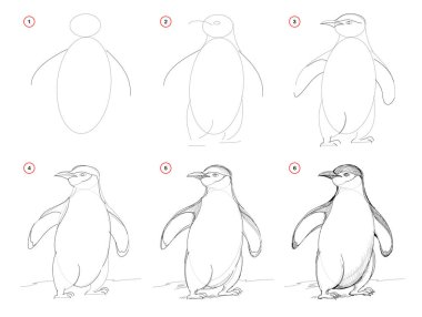 How to draw from nature sketch of cute penguin. Creation step by step pencil drawing. Educational page for artists. School textbook for developing artistic skills. Hand-drawn vector image. clipart