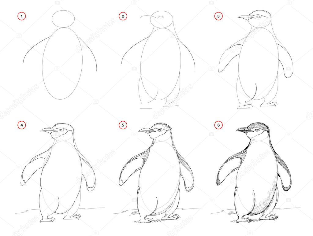 How to draw from nature sketch of cute penguin. Creation step by step pencil drawing. Educational page for artists. School textbook for developing artistic skills. Hand-drawn vector image.