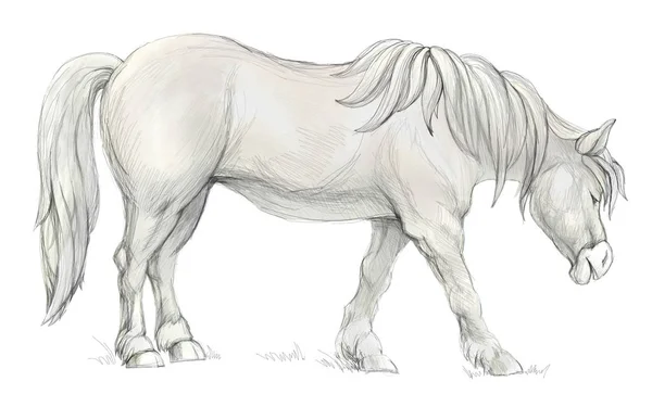 Fantasia Ilustração Cavalo Breton Doméstico Bonito Fundo Branco Esboço Desenhado — Fotografia de Stock