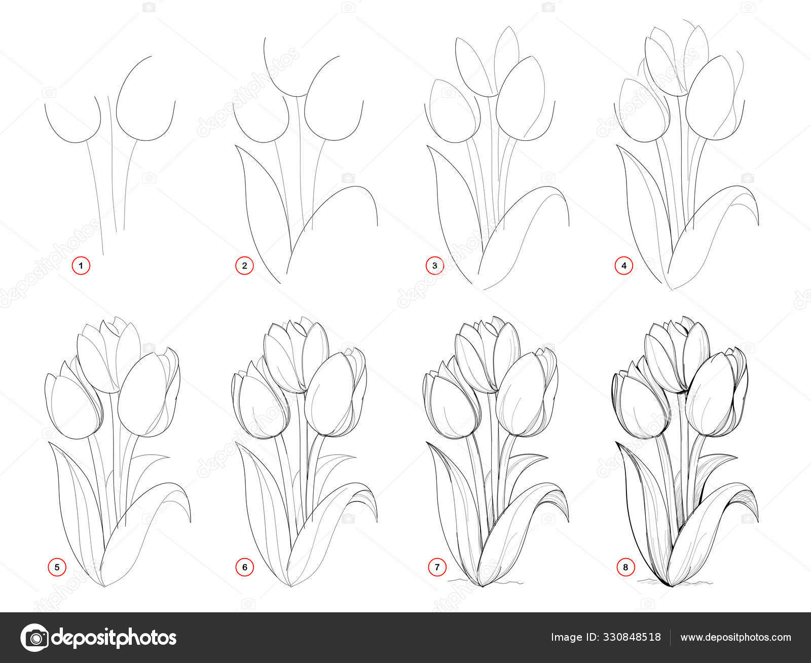  Qualquer pessoa pode desenhar flores: Tutorial de