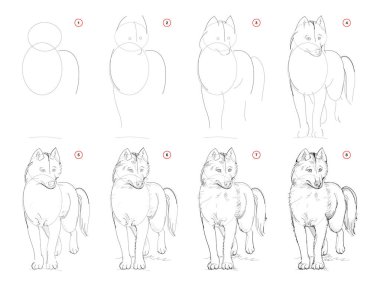 How to draw sketch of imaginary cute husky dog. Creation step by step pencil drawing. Education for artists. Textbook for developing artistic skills. Hand-drawn vector on computer by graphic tablet. clipart
