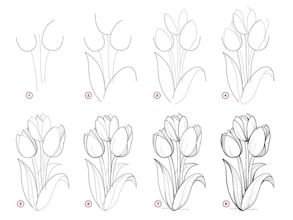 チューリップの花のステップワイズ美しい花束を描く方法 鉛筆画をステップバイステップで作成します アーティストのための教育ページ 芸術的なスキルを開発するための学校の教科書 手描きベクトル画像 — ストックベクタ